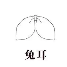 JK制服Lolita小物篇插图5 JK制服Lolita小物篇插图5